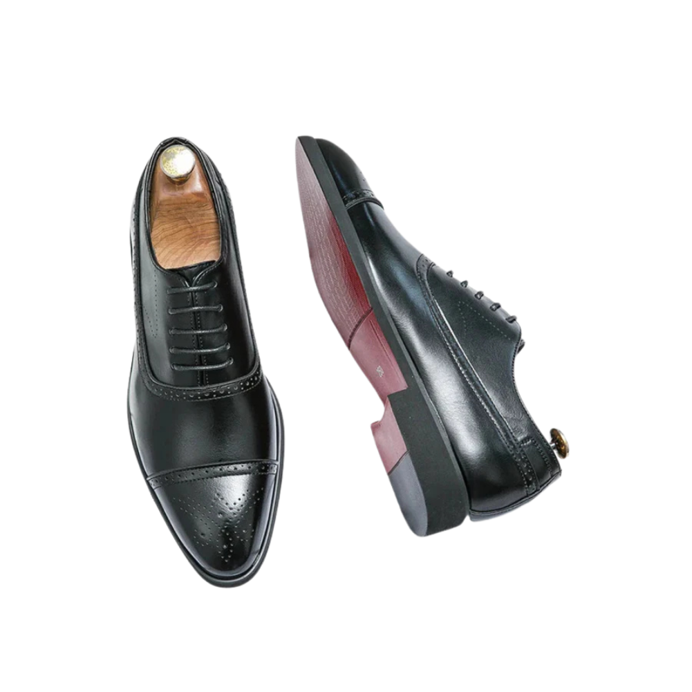 VARENZI | OXFORD ROYAL